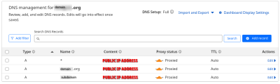  Example screenshot of a DNS configuration interface (placeholder)